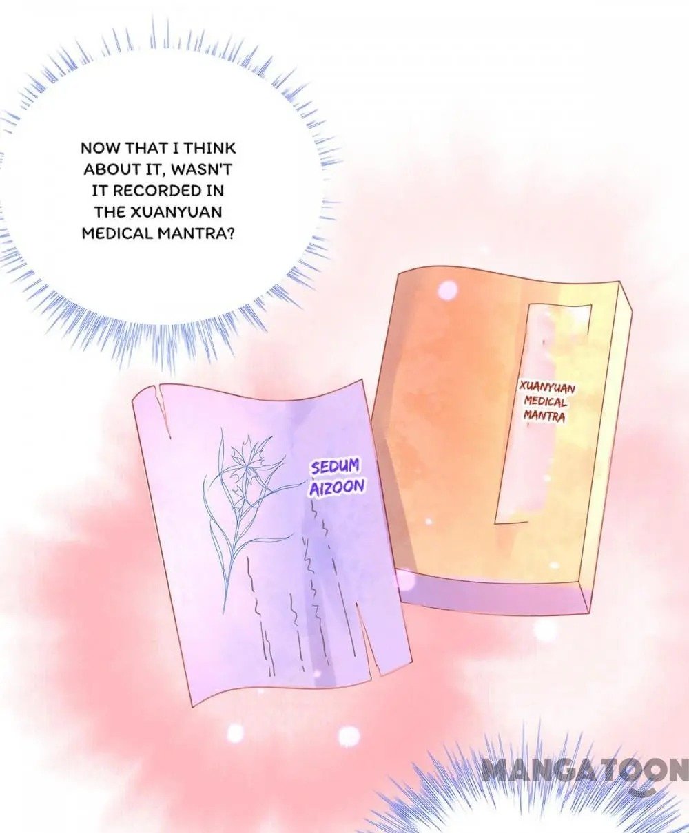 Page 25 of Chapter 36