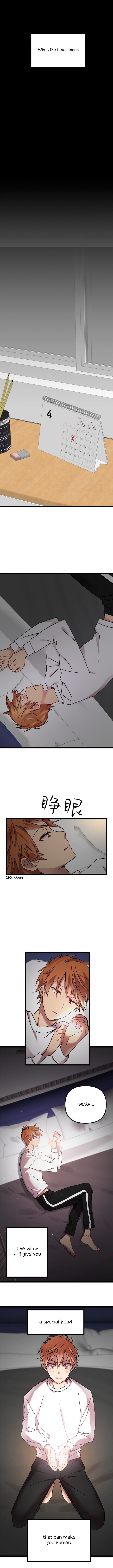 Page 4 of Chapter 1