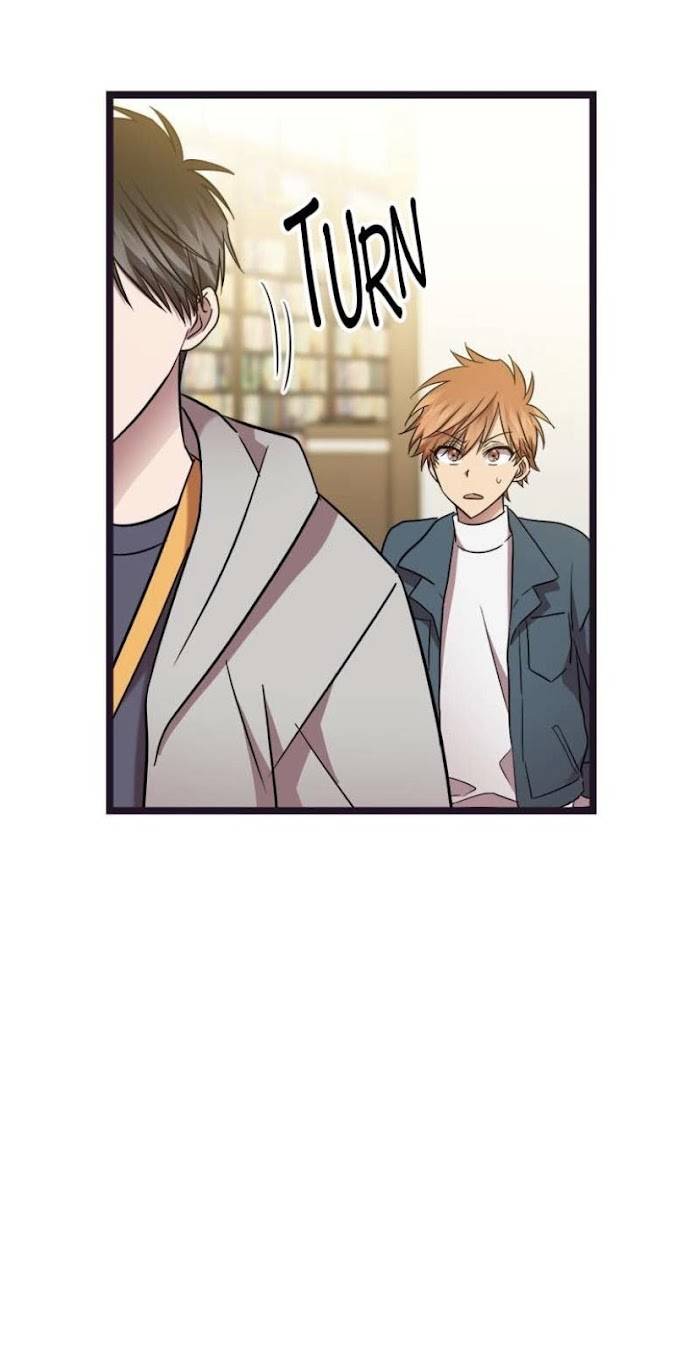 Page 19 of Chapter 15