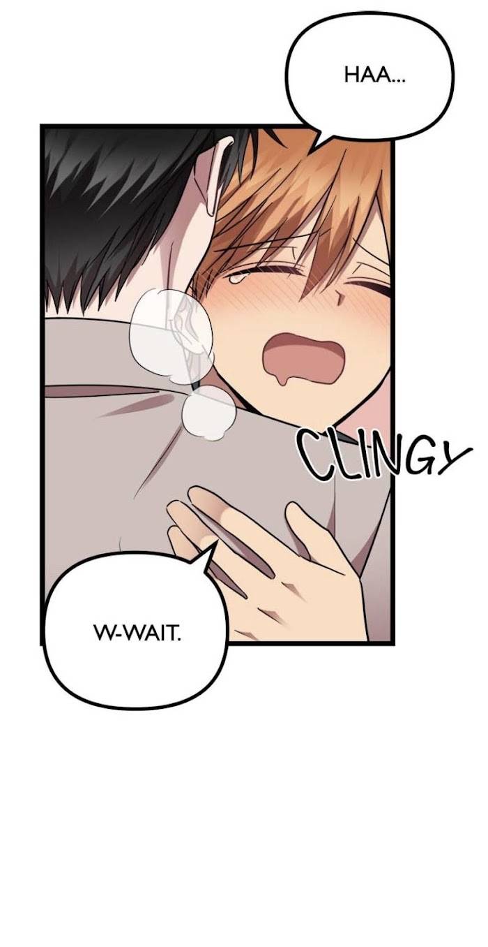 Page 46 of Chapter 23