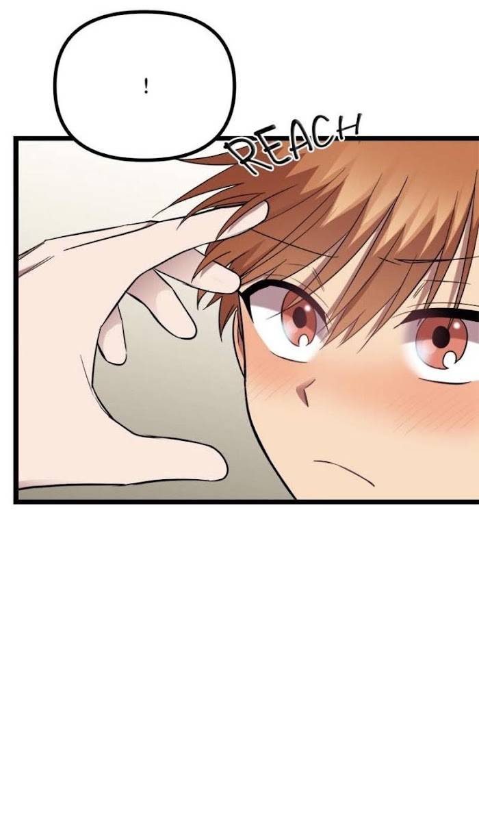 Page 29 of Chapter 29