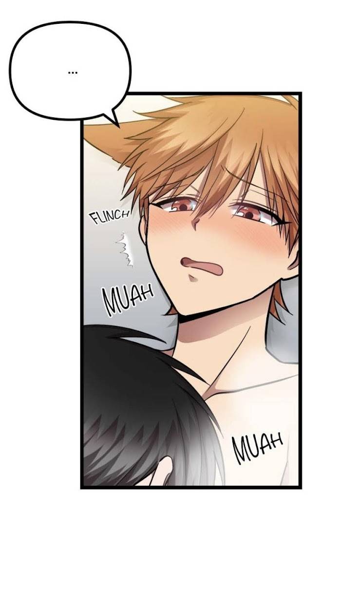 Page 17 of Chapter 33