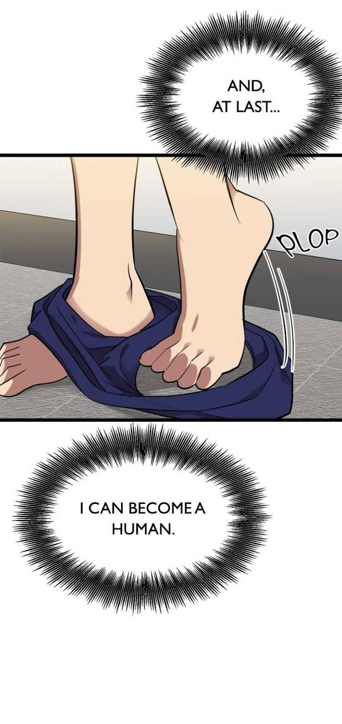 Page 18 of Chapter 33