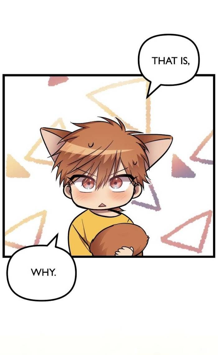 Page 54 of Chapter 33