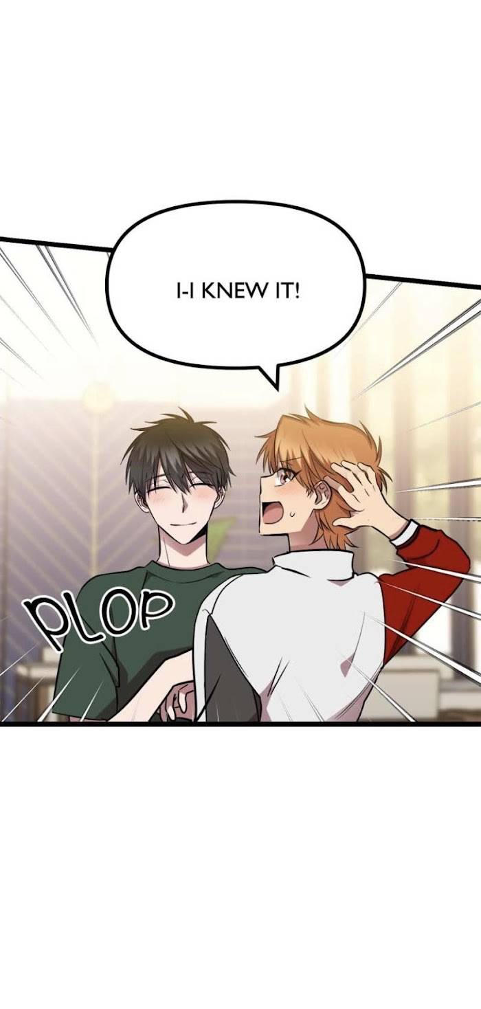 Page 19 of Chapter 41