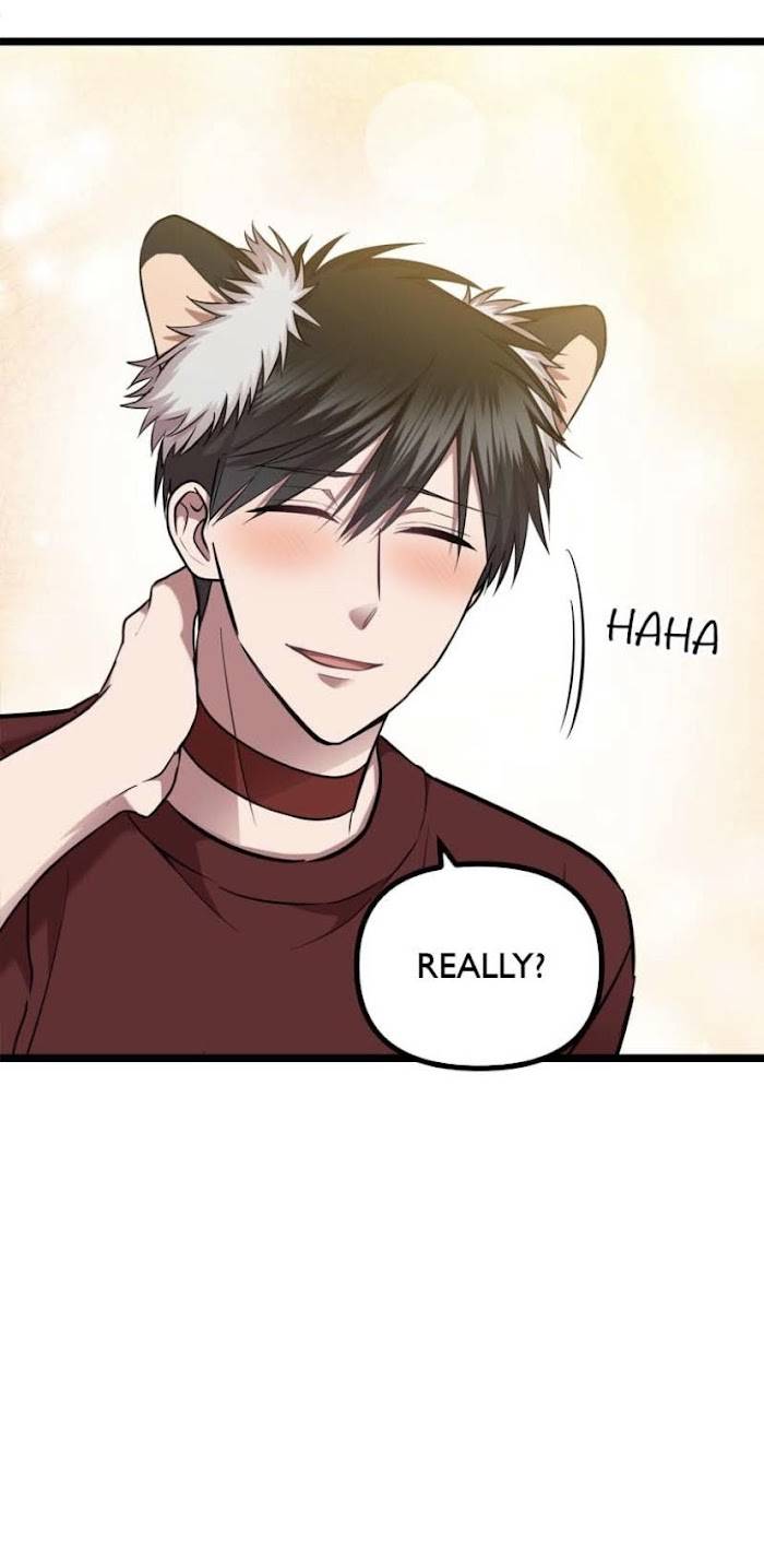 Page 14 of Chapter 47