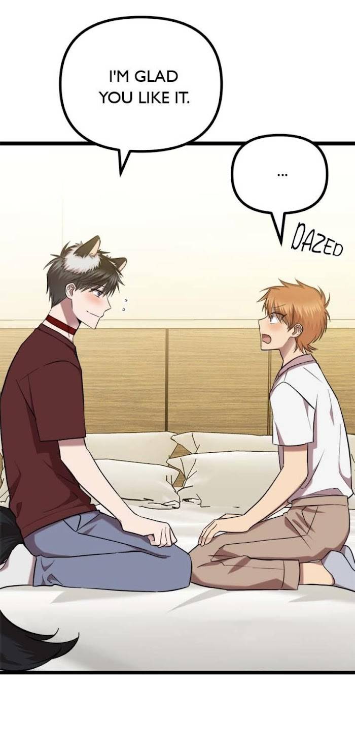 Page 15 of Chapter 47
