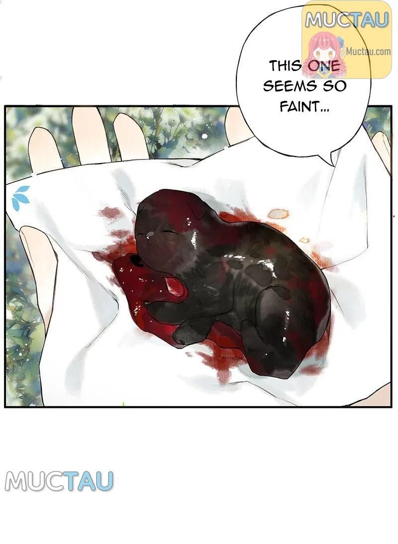 Page 12 of Chapter 27