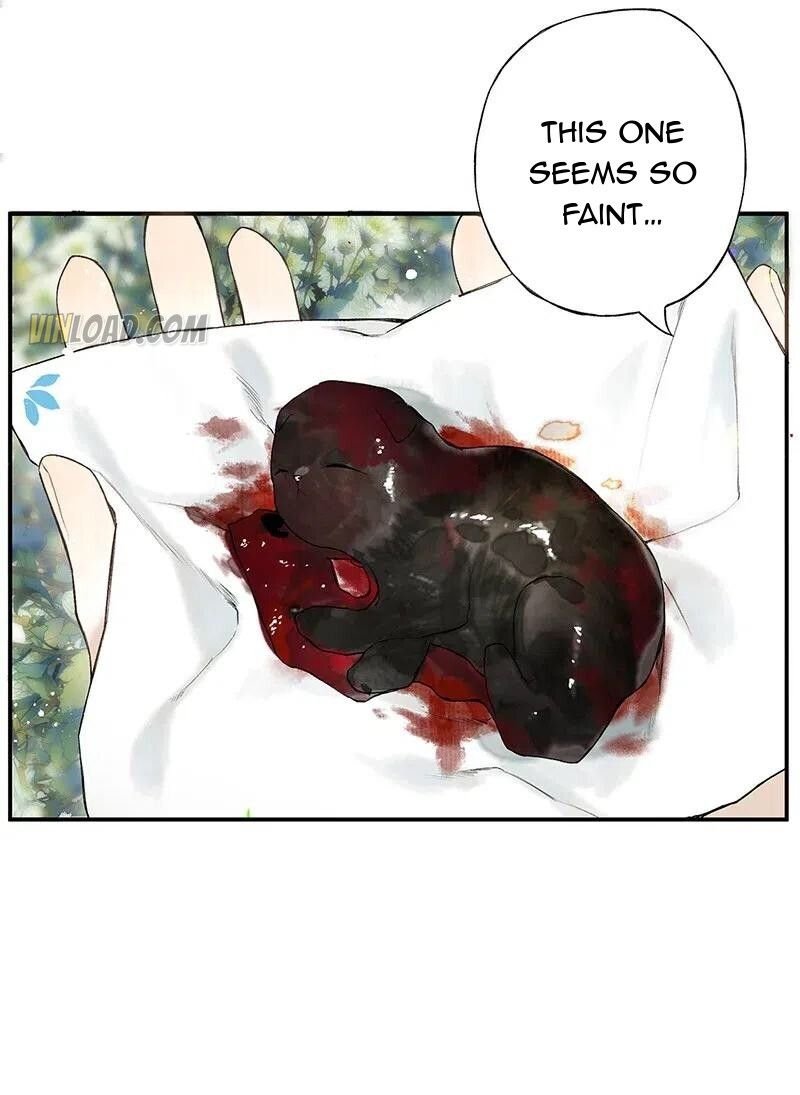 Page 12 of Chapter 28
