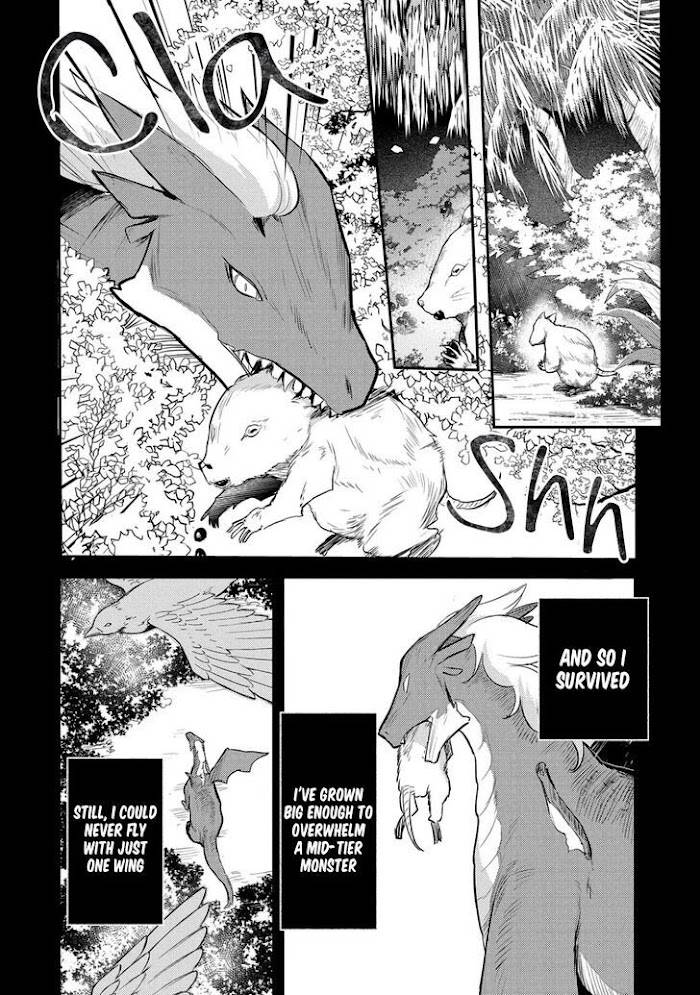 Page 8 of Chapter 14