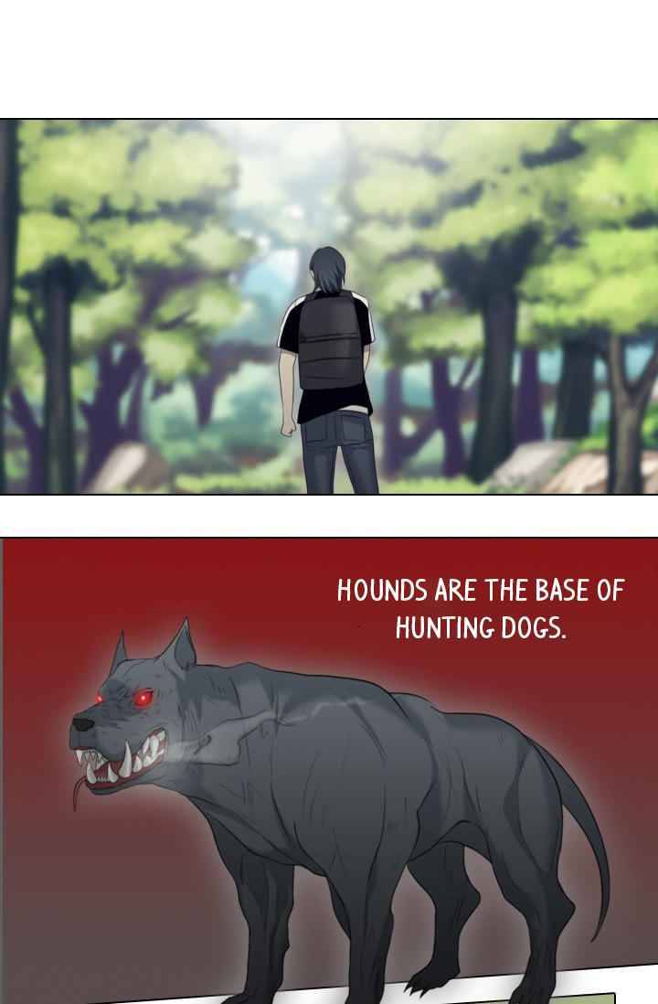 Page 19 of Chapter 11