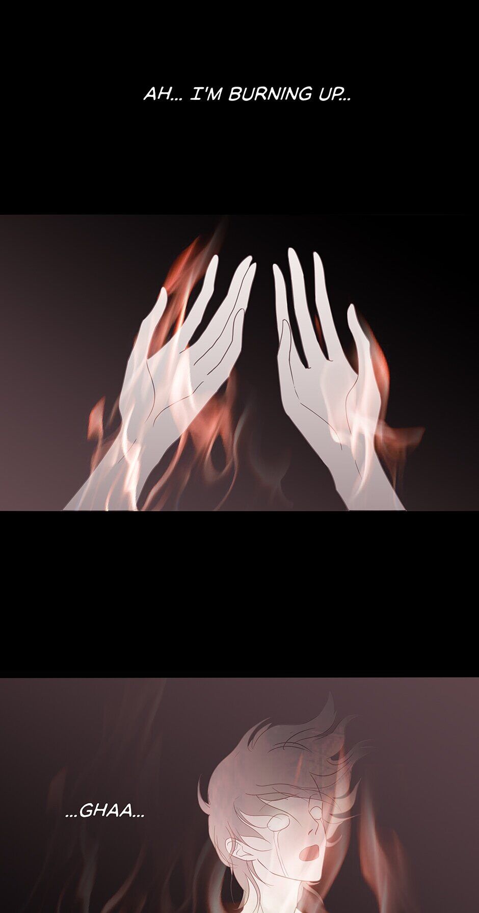 Page 41 of Chapter 50