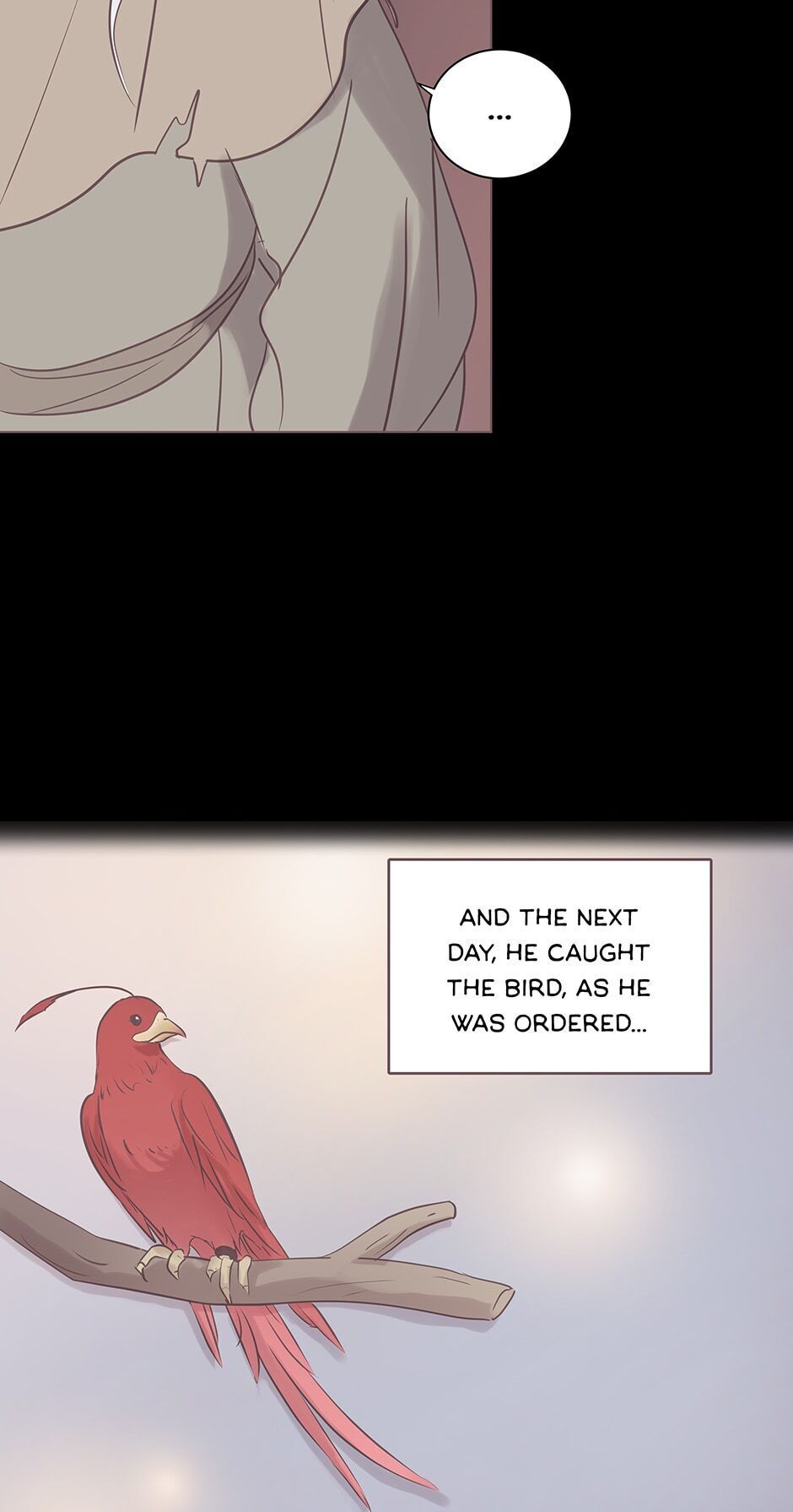 Page 28 of Chapter 58