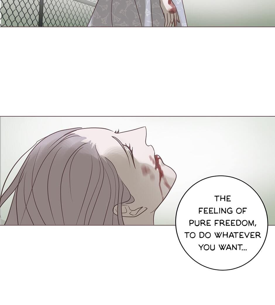 Page 21 of Chapter 64