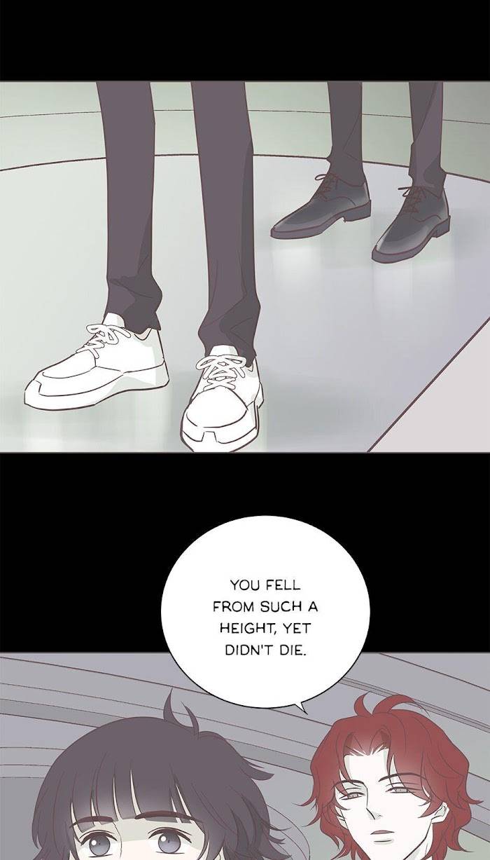 Page 3 of Chapter 95