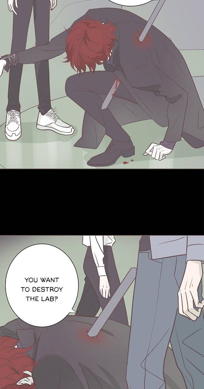 Page 15 of Chapter 95