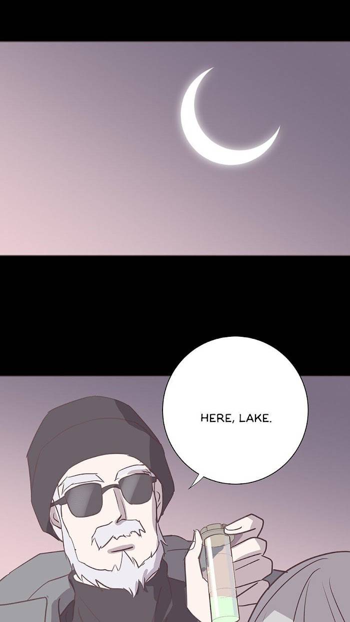 Page 19 of Chapter 95