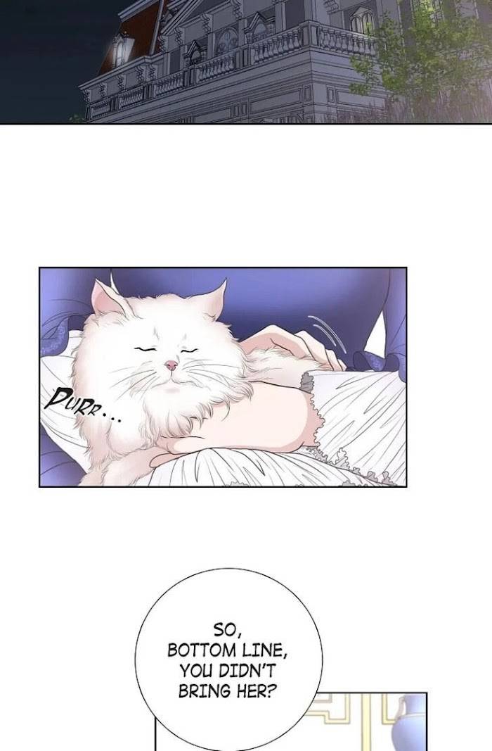Page 15 of Chapter 28