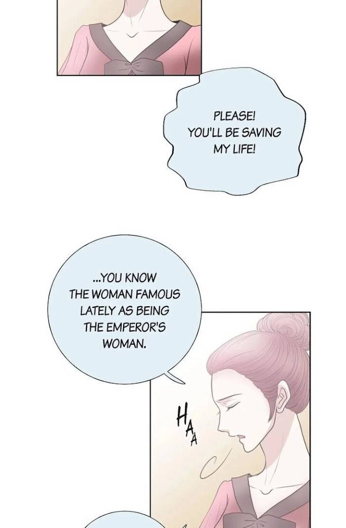 Page 17 of Chapter 28