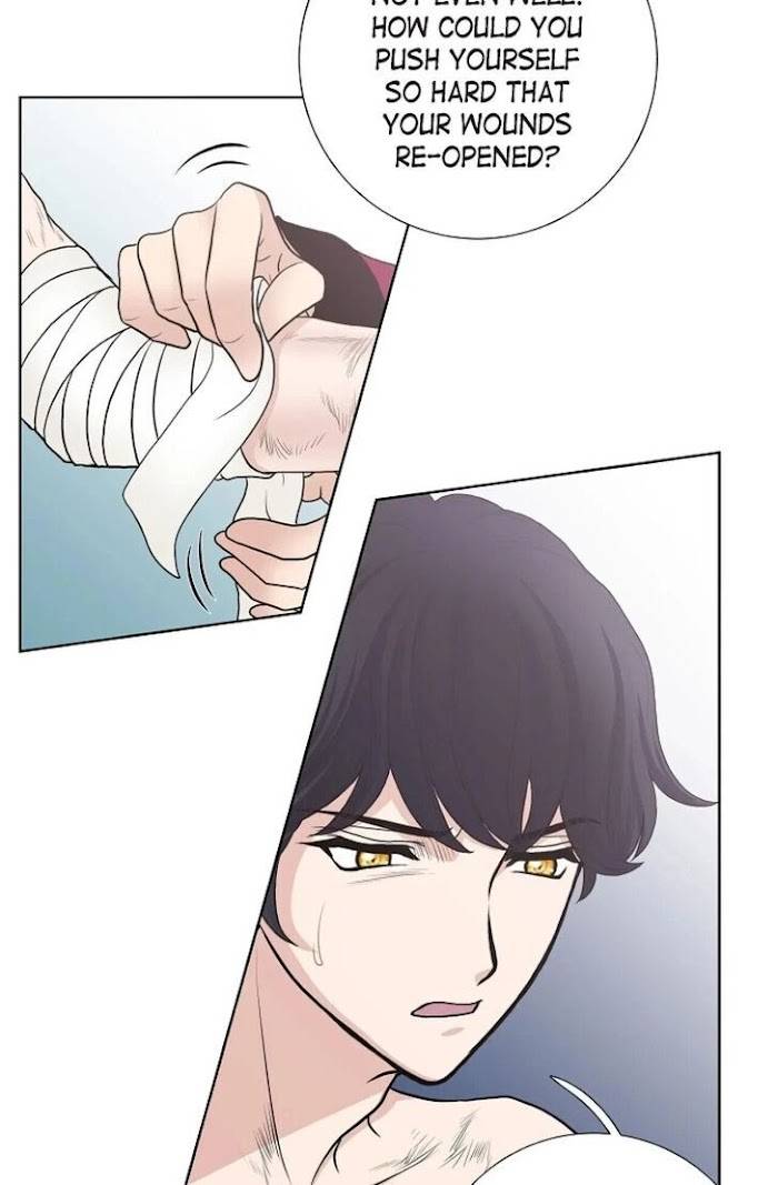 Page 54 of Chapter 29