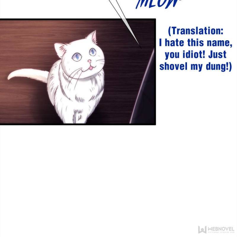Page 47 of Chapter 100