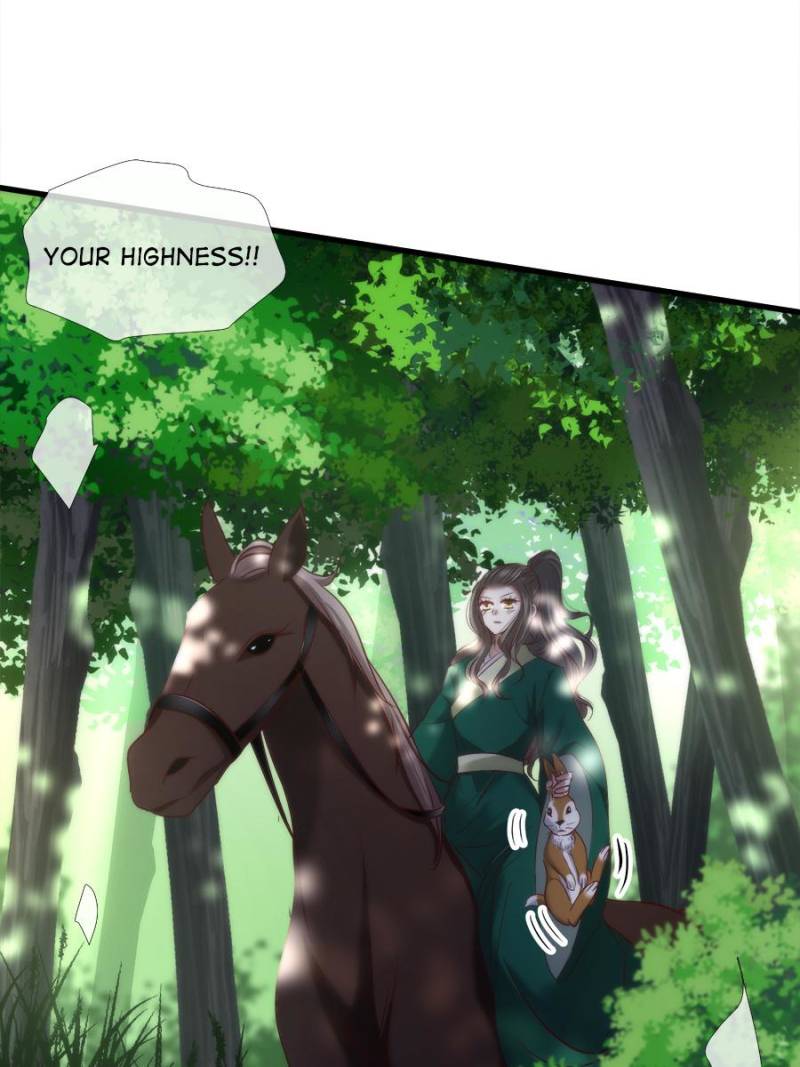 Page 31 of Chapter 117