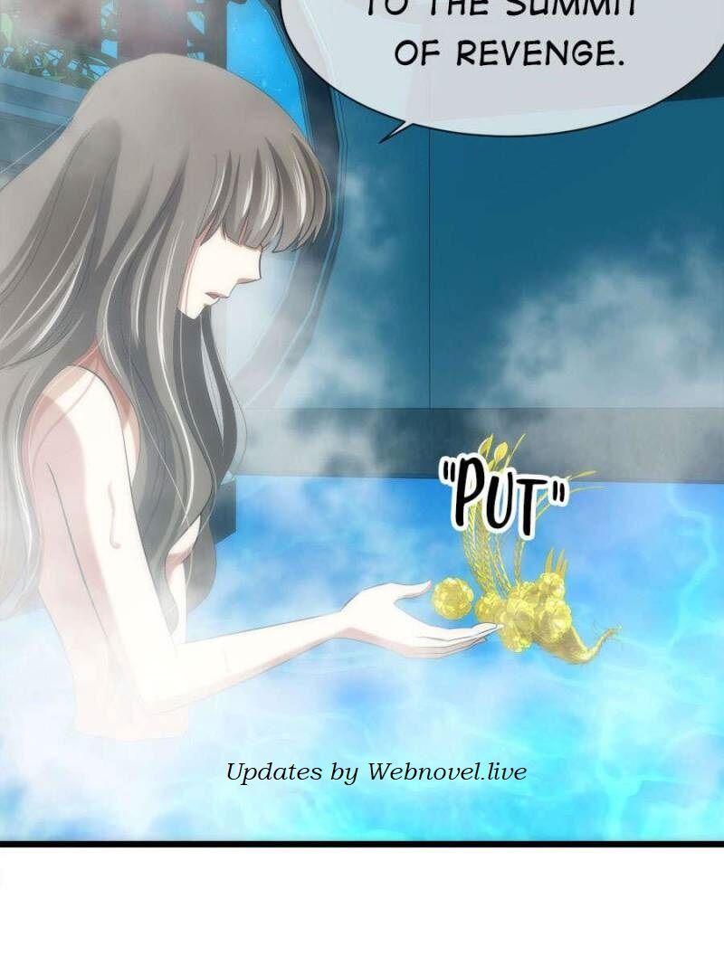 Page 14 of Chapter 17