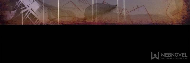 Page 13 of Chapter 94