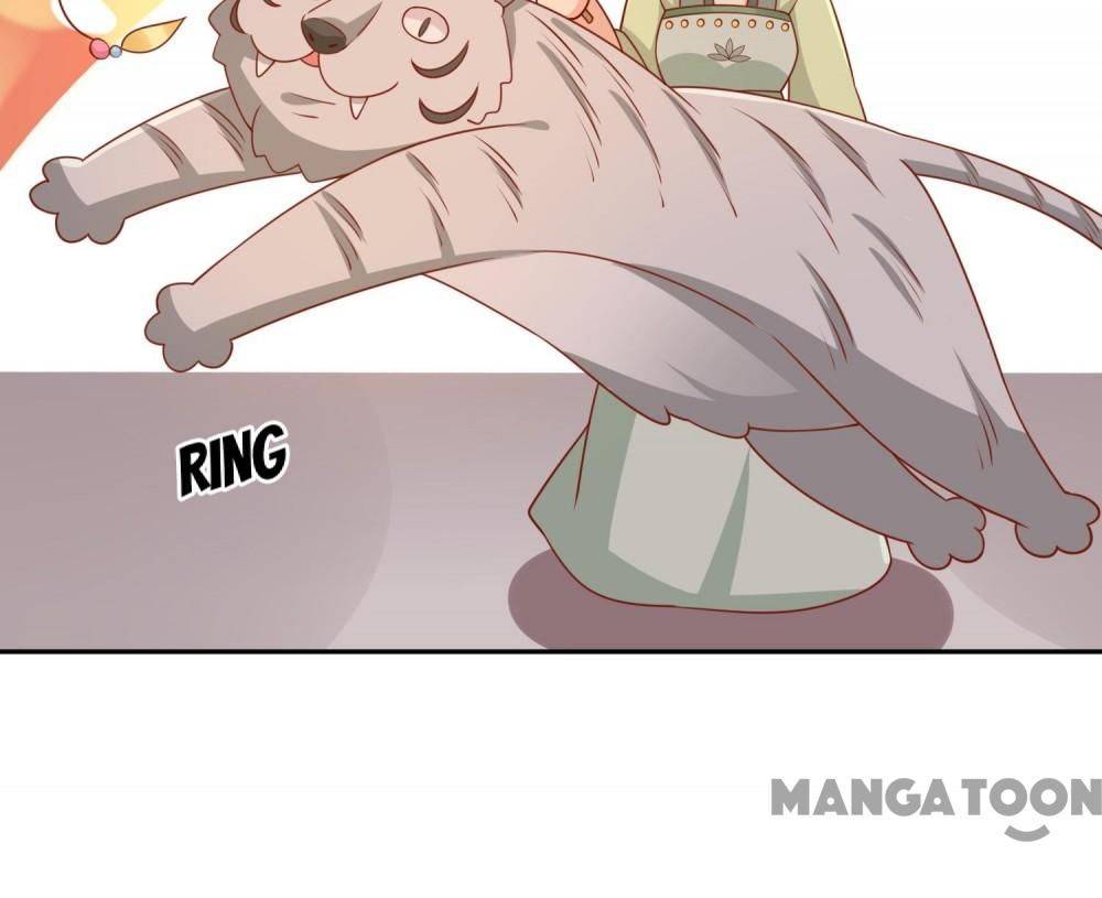 Page 25 of Chapter 136
