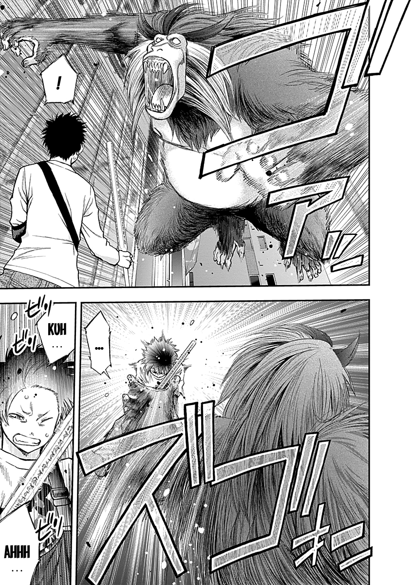 Page 13 of Chapter 113