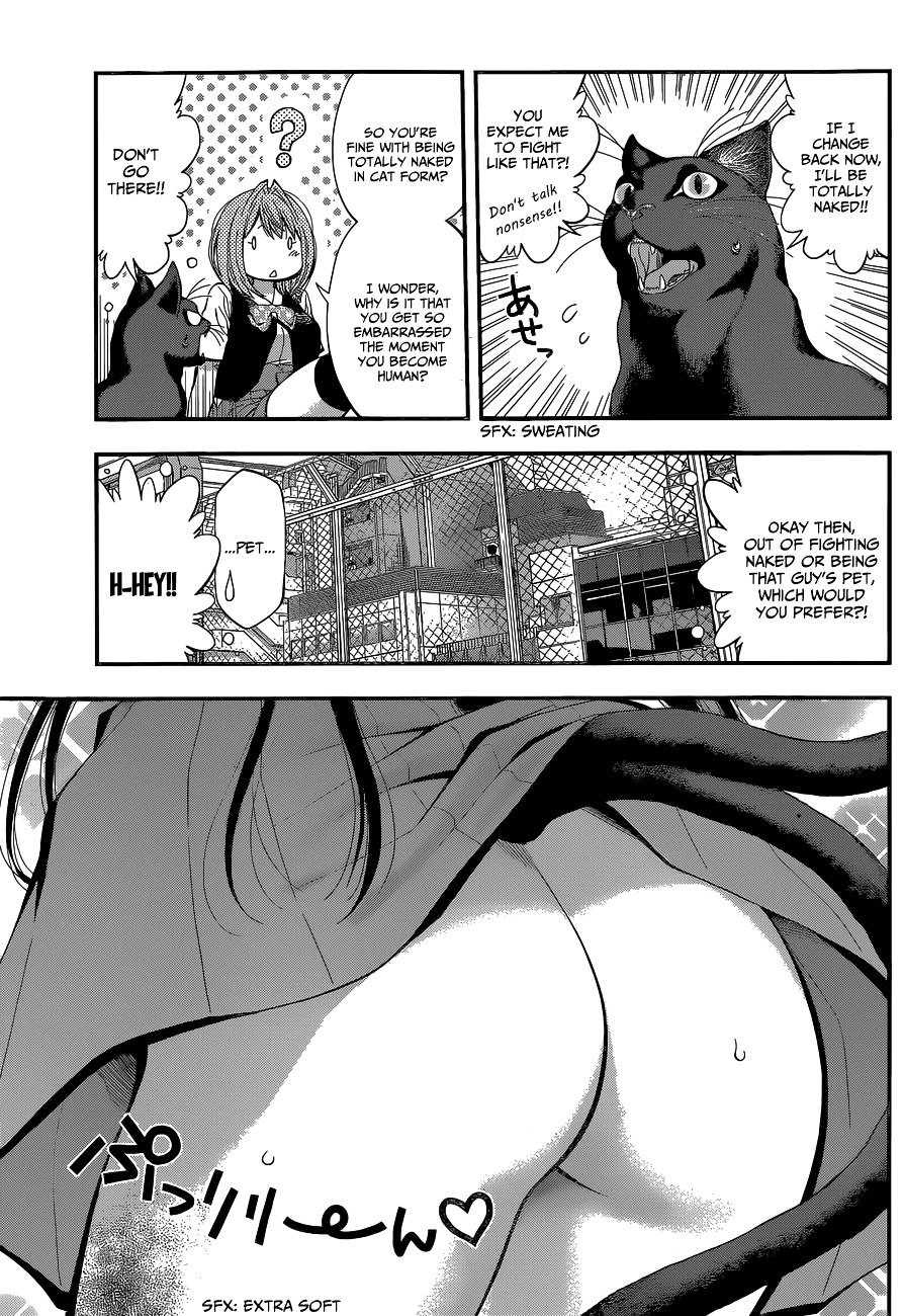 Page 13 of Chapter 33