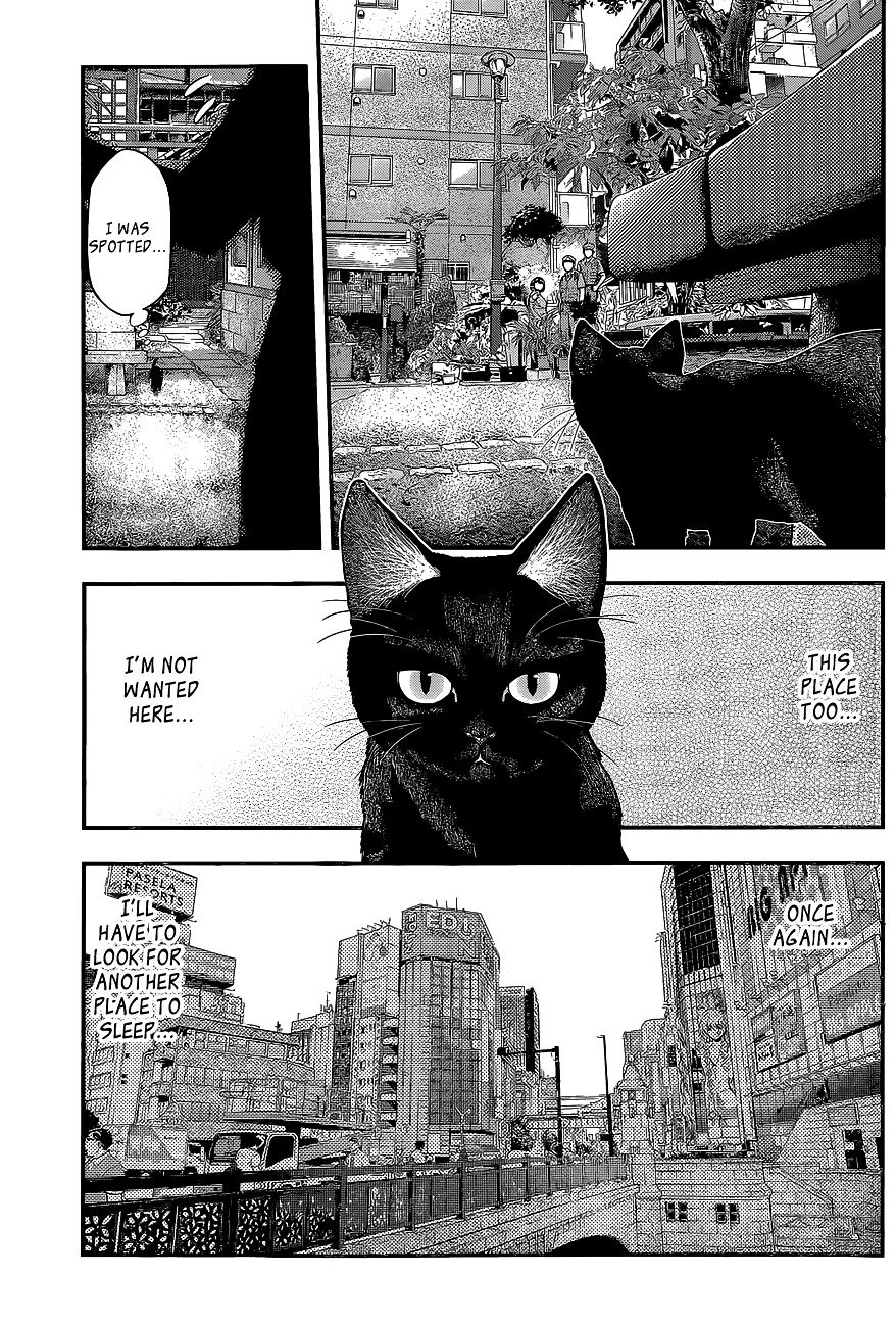 Page 3 of Chapter 41