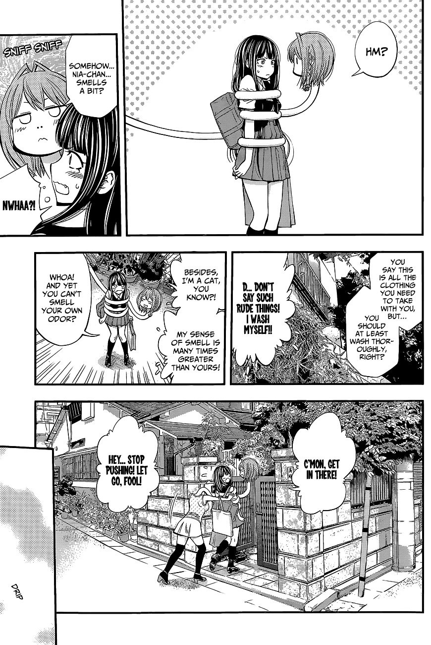 Page 13 of Chapter 41