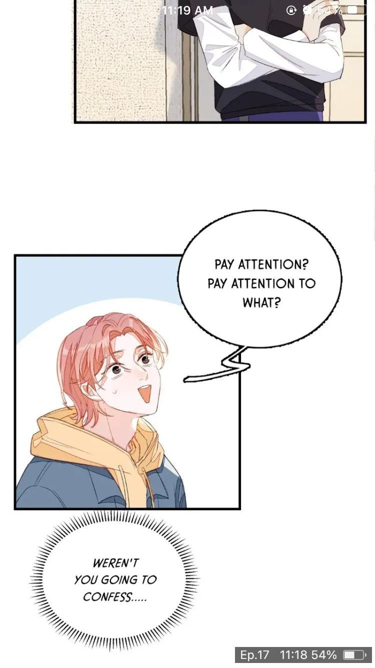 Page 5 of Chapter 17
