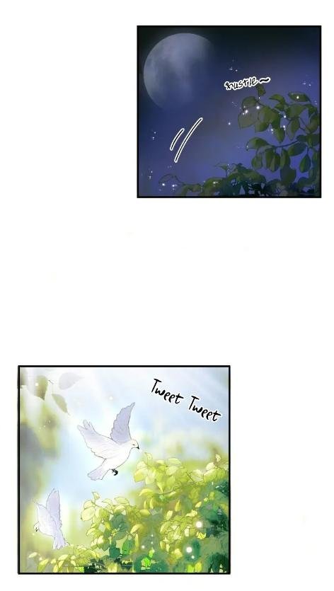 Page 20 of Chapter 25