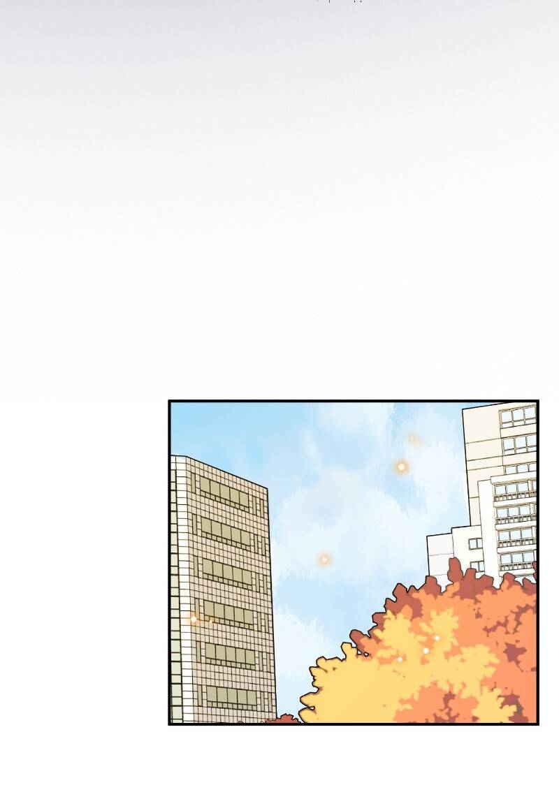 Page 24 of Chapter 33