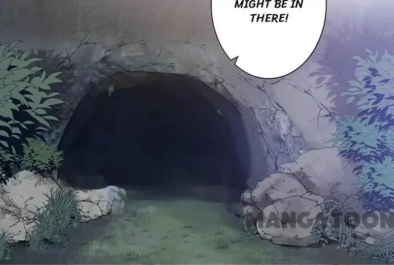 Page 17 of Chapter 2