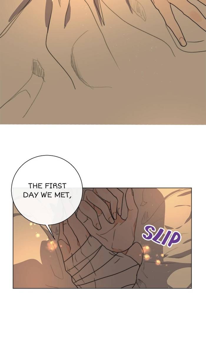 Page 25 of Chapter 12