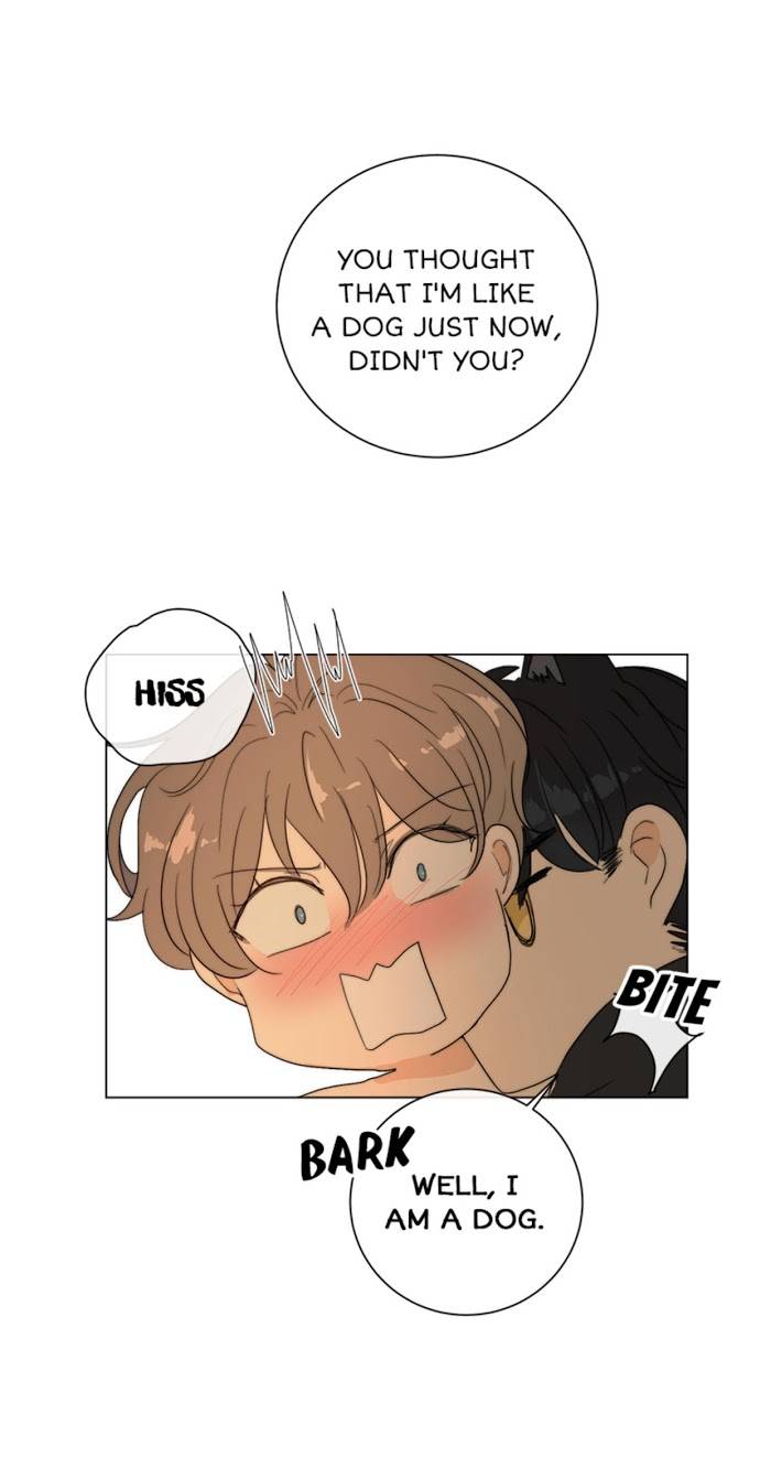 Page 12 of Chapter 13
