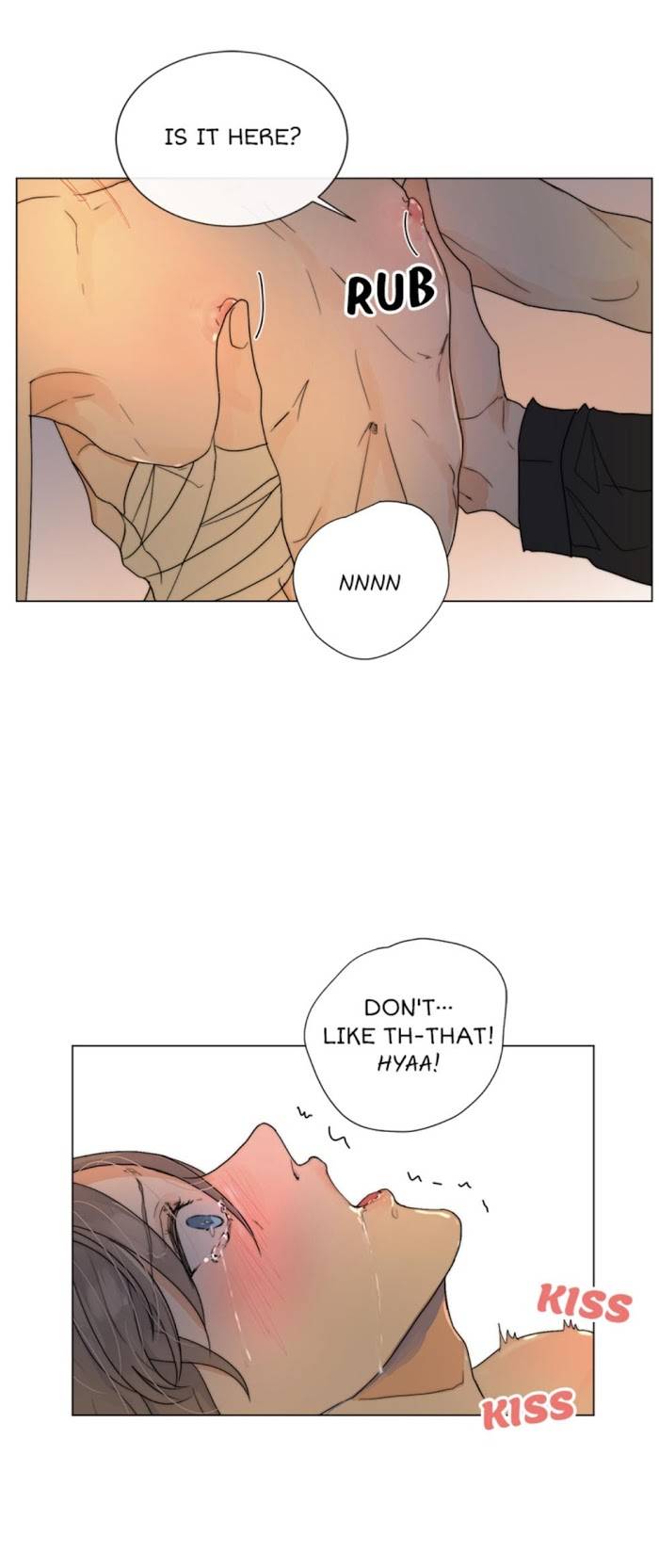 Page 19 of Chapter 13