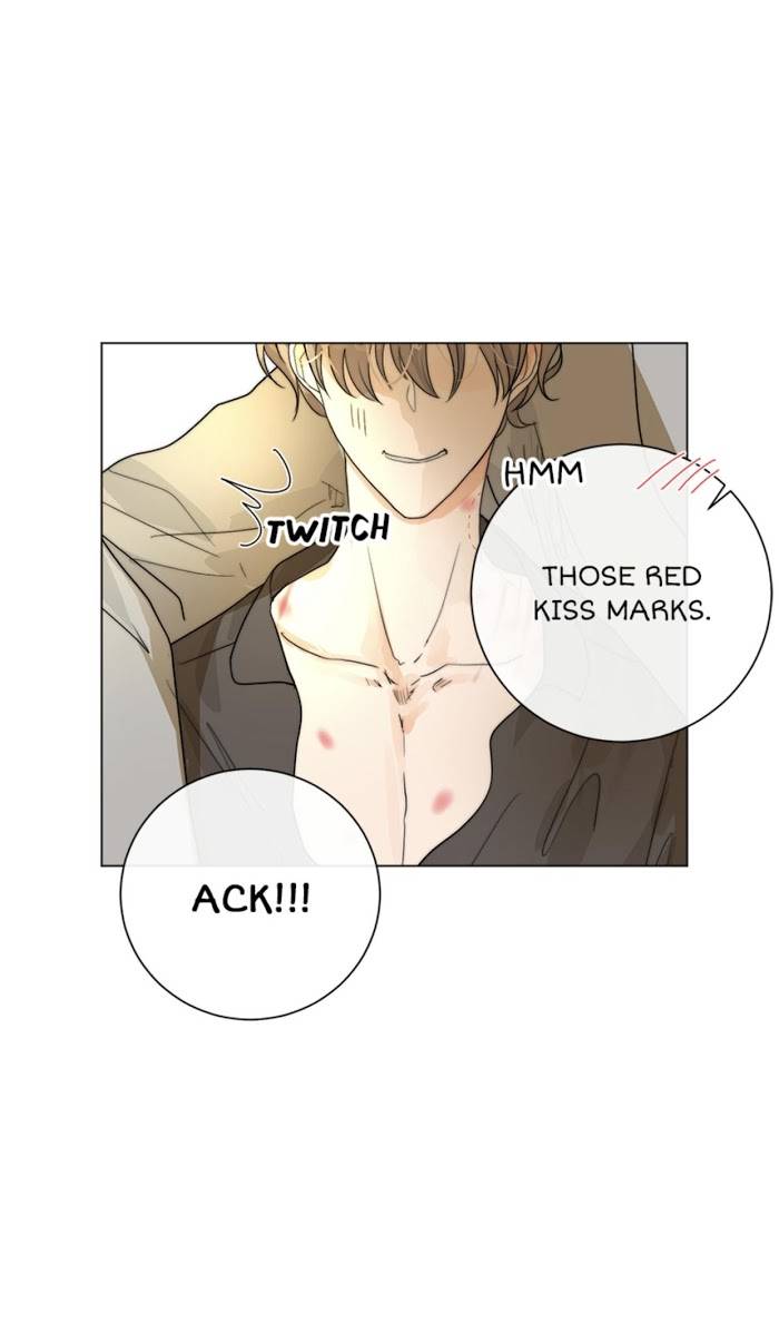 Page 29 of Chapter 15