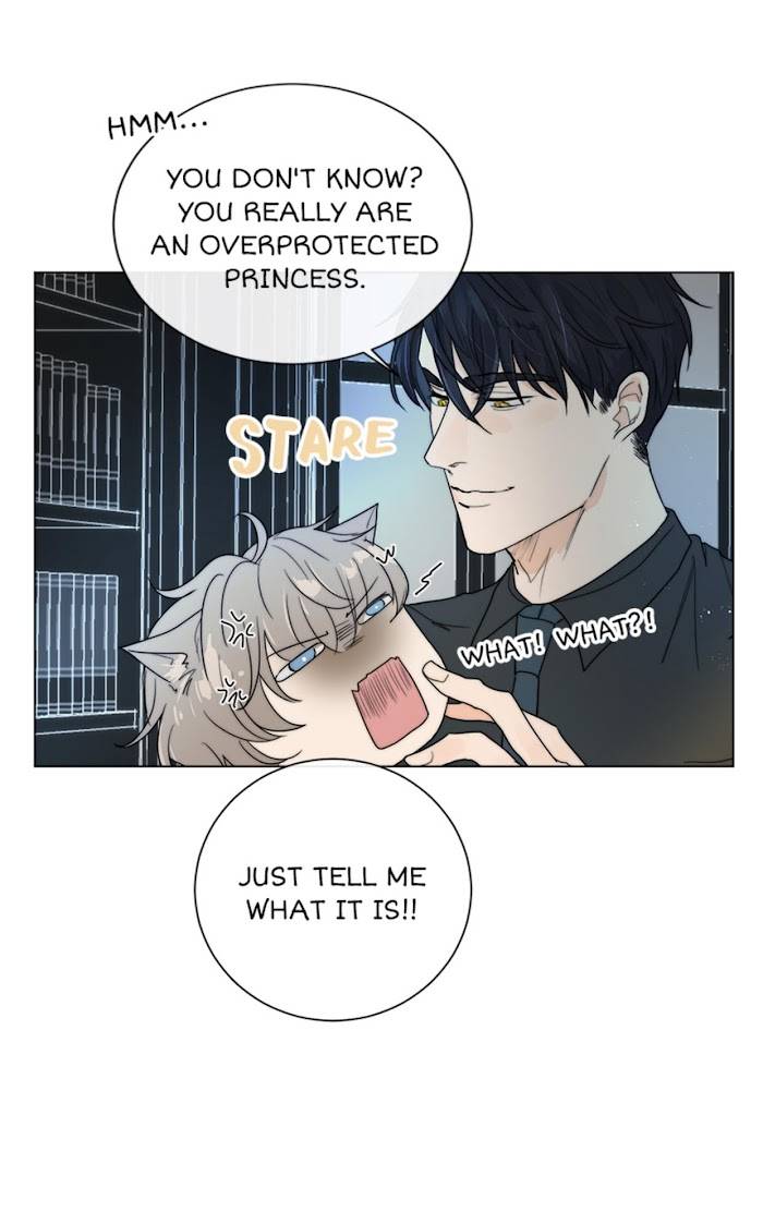 Page 14 of Chapter 19