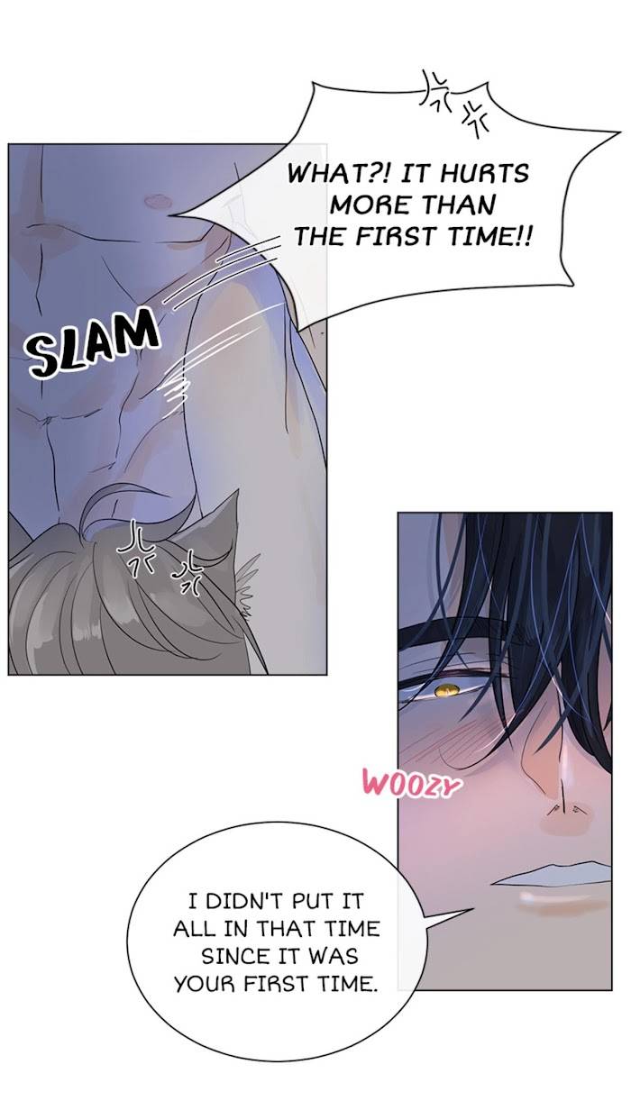 Page 28 of Chapter 22
