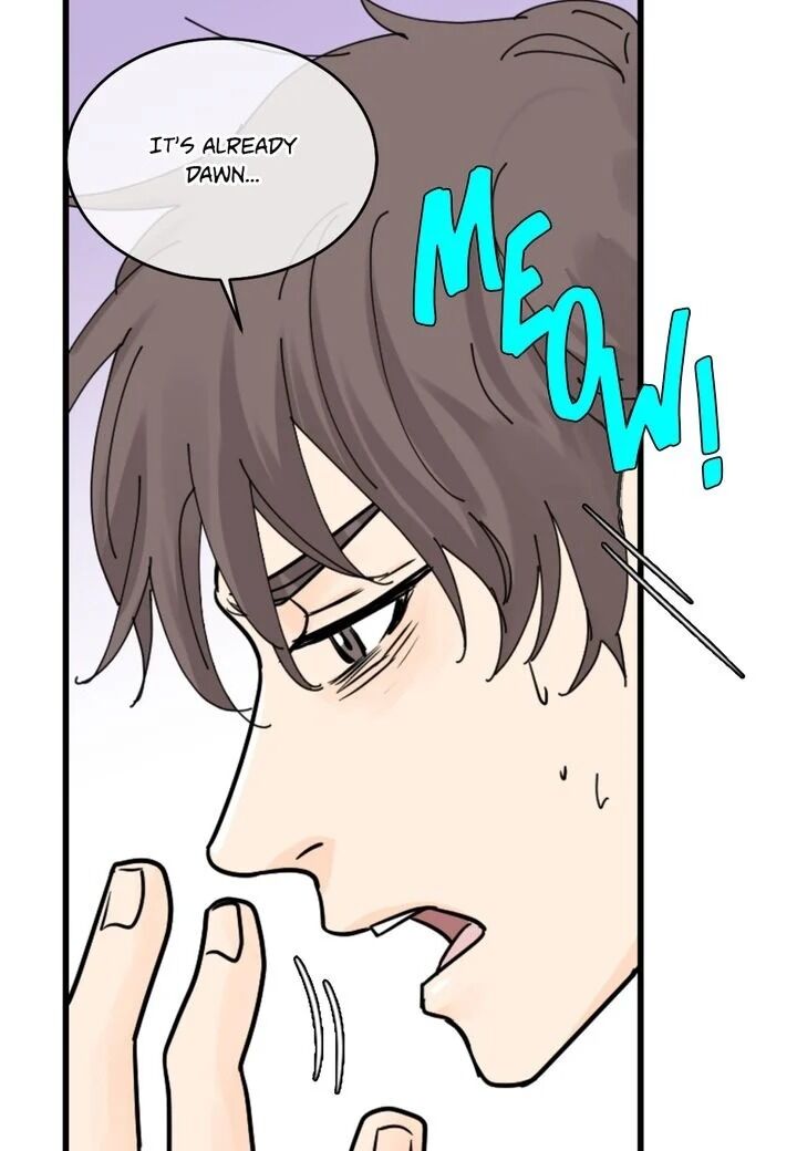 Page 39 of Chapter 20