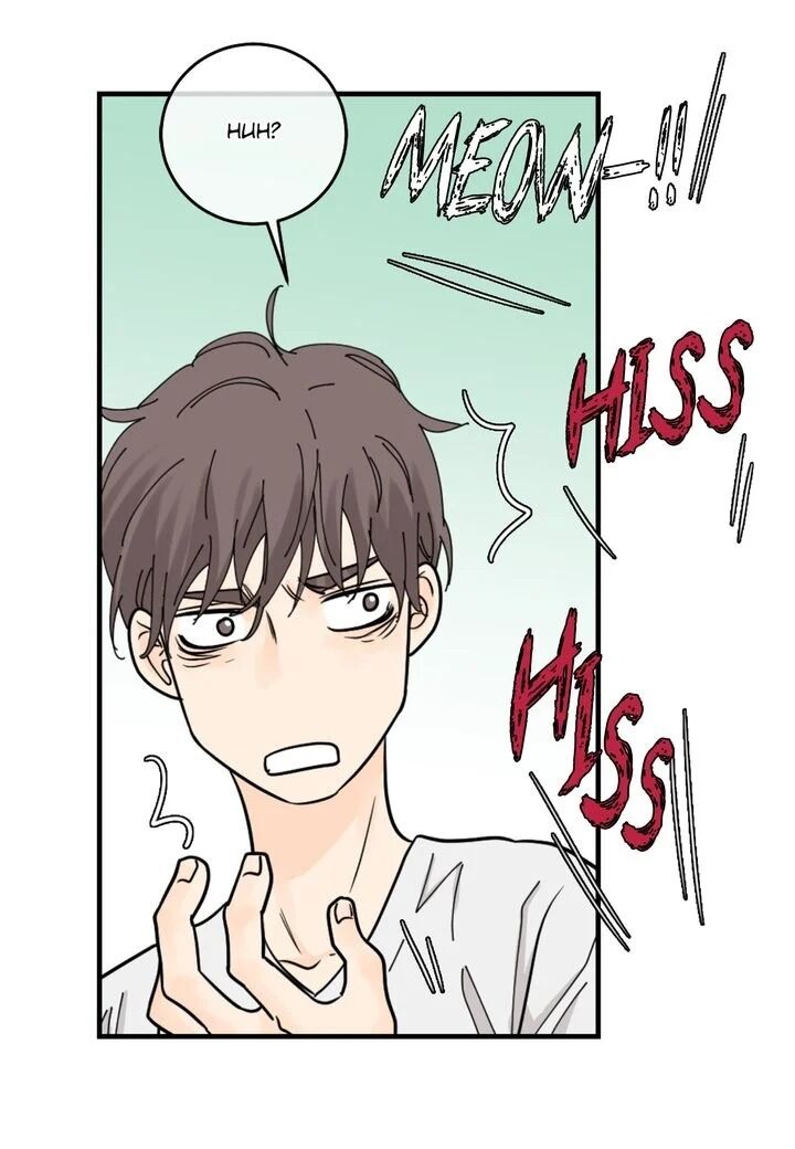Page 40 of Chapter 20