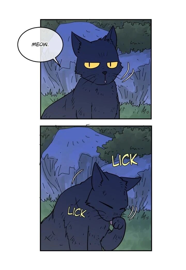 Page 44 of Chapter 20