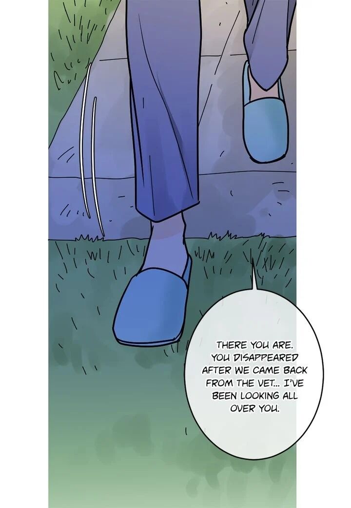 Page 45 of Chapter 20