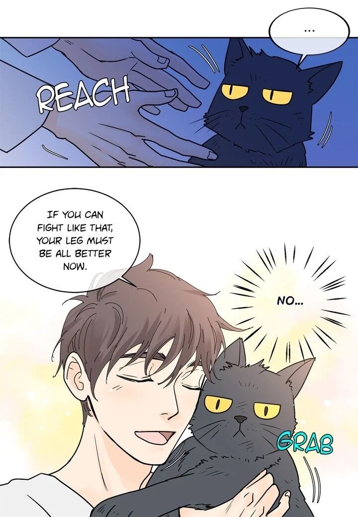 Page 46 of Chapter 20