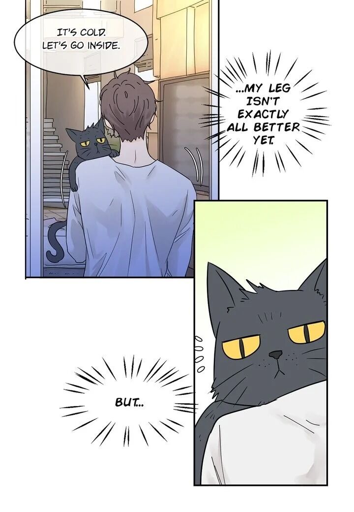 Page 47 of Chapter 20