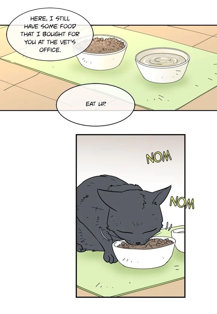 Page 49 of Chapter 20